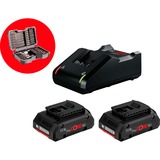 Bosch ProWeekend Bundle 04 StarterSet 4,0 2x ProCORE 18V 4,0Ah + GAL 18V-40 + Bit- und Steckschlüssel-Set, 43-teilig