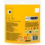 LEGO 30688 Creator 3-in-1 Tropischer Tukan, Konstruktionsspielzeug 