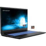 Medion ERAZER Defender E15 (MD62317), Gaming-Notebook Windows 11 Home 64-Bit, 144 Hz Display, 1 TB SSD