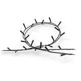 Philips Hue White & Color Ambiance Festavia Lichterkette 40m 