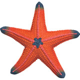 Schleich Wild Life Seestern mit Farbwechsel, Spielfigur 