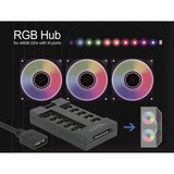 DeLOCK RGB Hub für ARGB LEDs mit 10 Ports schwarz