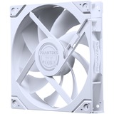 Phanteks M25G2-140 D-RGB Triple Pack, Gehäuselüfter weiß, 3er-Pack, 140 mm