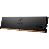 Team Group DIMM 192 GB DDR5-6000 (8x 24 GB) Octa-Kit ECC, Arbeitsspeicher schwarz, CTCMD5192G6000HC32AOC01, T-CREATE MASTER, Registred, INTEL XMP