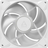 ARCTIC BioniX P14 A-RGB, Gehäuselüfter weiß/weiß, 3er Pack, 140 mm