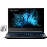 Medion ERAZER Guardian X10 (30029880), Gaming-Notebook schwarz, Windows 10 Home 64-Bit, 144 Hz Display