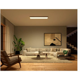 Philips HUE White & Color Ambiance Rechteckige Panelleuchte Surimu, LED-Leuchte weiß, 30 x 120 cm