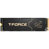 Team Group T-Force GA PRO 2 TB, SSD schwarz, PCIe 5.0 x4 | M.2 2280 | T-FORCE DARK AirFlow-Kühlkörper