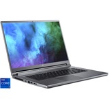 Acer Predator Triton 500 SE (PT516-51s-96EV), Gaming-Notebook grau, Windows 11 Home 64-Bit, 165 Hz Display, 2 TB SSD