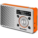 TechniSat DIGITRADIO 1 silber/orange, UKW, DAB+, Klinke