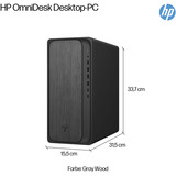 HP OmniDesk M02-0157ng, PC-System schwarz, ohne Betriebssystem