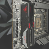Patriot DIMM 48 GB DDR5-6400 (2x 24 GB) Dual-Kit, Arbeitsspeicher schwarz, PVVR548G640C32K, Viper Venom RGB, INTEL XMP