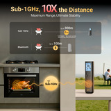 Typhur Sync Gold Lite, Thermometer schwarz, inkl. 1 Sonde