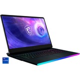 MSI Raider GE76 12UHS-214, Gaming-Notebook grau, Windows 11 Pro 64-Bit, 120 Hz Display