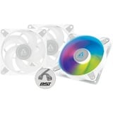 ARCTIC P12 PWM PST A-RGB 0dB 3er 120x120x25, Gehäuselüfter weiß/transparent, 3er Pack, 120 mm