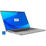 Schenker VISION 14 E22 (10506095), Notebook silber, Windows 11 Home 64-Bit, 90 Hz Display, 1 TB SSD