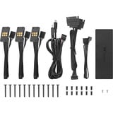 Thermaltake TS 120 EX RGB, Gehäuselüfter schwarz, 3er Pack, 120 mm