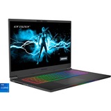 Medion ERAZER Beast X30 (30033748), Gaming-Notebook schwarz, Windows 11 Home 64-BIt, 43.9 cm (17.3 Zoll) & 165 Hz Display, 1 TB SSD