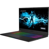 Medion ERAZER Beast X30 (30033748), Gaming-Notebook schwarz, Windows 11 Home 64-BIt, 165 Hz Display, 1 TB SSD