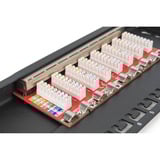 Digitus CAT 6A, Klasse EA Slim Patch Panel, 8 Port, Patchpanel schwarz, 0,5 HE, geschirmt