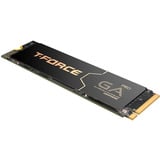 Team Group T-Force GA PRO 1 TB, SSD schwarz, PCIe 5.0 x4 | M.2 2280 | Graphen-Kühlkörper