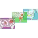 Schleich Horse Club Pferdeklinik "Heilende Hufe", Spielgebäude 