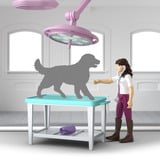 Schleich Horse Club Pferdeklinik "Heilende Hufe", Spielgebäude 