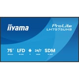 iiyama ProLite LH7575UHS-B2AG, Public Display schwarz (matt), UltraHD/4K, IPS, Lautsprecher, Daisy Chain