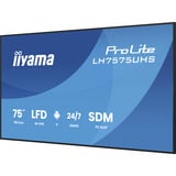 iiyama ProLite LH7575UHS-B2AG, Public Display schwarz (matt), UltraHD/4K, IPS, Lautsprecher, Daisy Chain