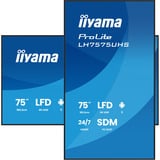 iiyama ProLite LH7575UHS-B2AG, Public Display schwarz (matt), UltraHD/4K, IPS, Lautsprecher, Daisy Chain