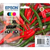 Epson Tinte Multipack 503XL (C13T09R64010) 