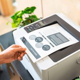 Brother HL-L5210DW, Laserdrucker grau, USB, LAN, WLAN