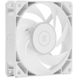EKWB EK-Loop Fan FPT 120 D-RGB - White, Gehäuselüfter weiß, 120 mm