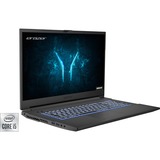 Medion ERAZER Defender P10 (30031534), Gaming-Notebook schwarz, Windows 10 Home 64-Bit