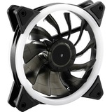 Sharkoon SHARK Blades PWM RGB Fan, Gehäuselüfter schwarz