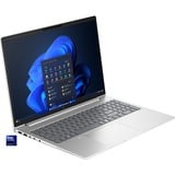 HP EliteBook 665 G11 (9C0H5EA), Notebook silber, AMD Ryzen 5 7535U, AMD Radeon 660M, 8 GB DDR5, 256 GB (256 GB SSD), Windows 11 Pro