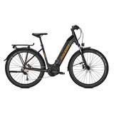 Raleigh DUNDEE LTD (2021), Pedelec schwarz, 27,5 cm, 55 cm Rahmen