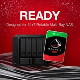 Seagate IronWolf NAS 2 x 4 TB Bundle , Festplatte SATA 6 Gb/s, 3,5", 2er Bundle