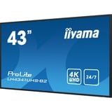 iiyama ProLite LH4341UHS-B2, Public Display schwarz (glänzend), UltraHD/4K, IPS, Mediaplayer