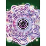  Pokémon-TCG: Team Rockets Mewtu-ex Liga-Kampfdeck, Sammelkarten 