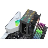 RAIJINTEK ELEOS 12 EVO RBW, CPU-Kühler 