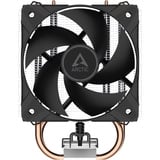 ARCTIC Freezer 8A CO, CPU-Kühler 100 mm