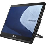 ASUS ExpertCenter E1 AiO E1600WKAT-BMR259M, PC-System schwarz, ohne Betriebssystem
