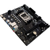 Biostar A620MS, Mainboard schwarz