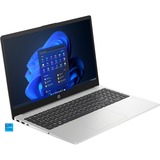 HP 250 G10 (9G844ES), Notebook silber, Intel® Core™ i5-1334U, Intel® Iris® Xe Graphics, 16 GB DDR4, 512 GB (512 GB SSD), Windows 11 Home 64-Bit