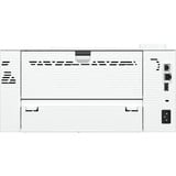 HP LaserJet Pro 4007dn, Laserdrucker grau/blau, USB, LAN, Duplex (Druck)