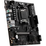 MSI PRO A620M-B, Mainboard 