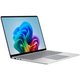 Microsoft Surface Laptop 7 Copilot+PC for Business, Notebook platin, Qualcomm Snapdragon X Elite X1E-80-100, Qualcomm Adreno GPU, 16 GB LPDDR5X, 512 GB (512 GB SSD), Windows 11 Pro