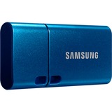 SAMSUNG Type-C 256 GB, USB-Stick blau, USB-C 3.2 Gen 1