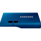 SAMSUNG Type-C 256 GB, USB-Stick blau, USB-C 3.2 Gen 1